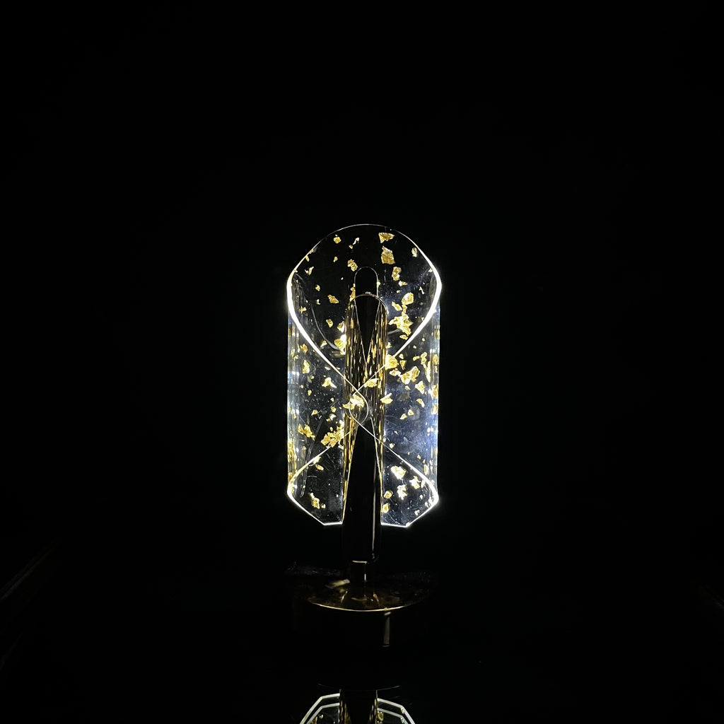 Aurora Luxe Rechargeable LED Lamp-3 light modes- lp1